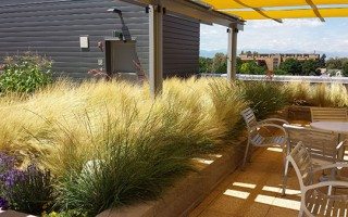 UCD-Wellness-Center_Planters