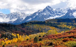 800px-fall_colors_near_ridgway_colorado