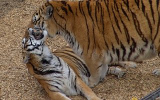 3494629425_bab2aa83fc_b