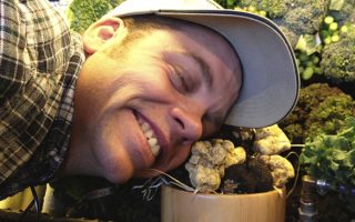 Newsletter_Truffle_Paul