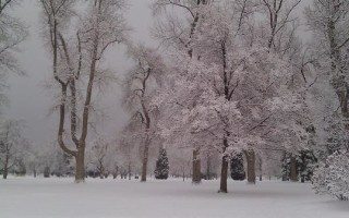 20130312__city-park~p1