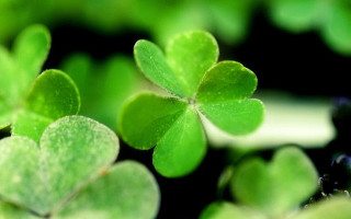 2254826405_123670c179_z