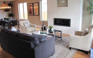 Standard Fireplace, niche & tile