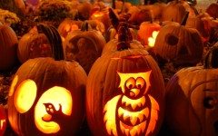 jack-o-lanterns-1326126