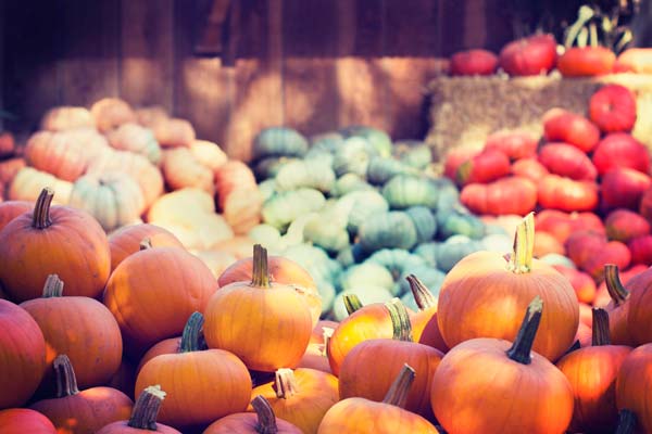 What to Do in Denver in October 2019