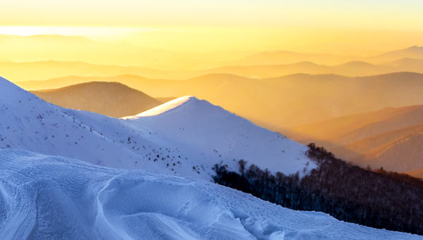 Denver Real Estate News – February 2021