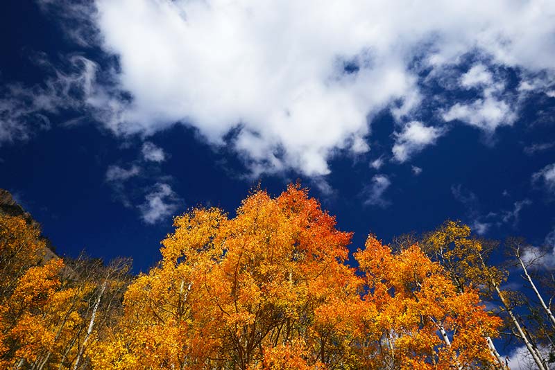 Denver Real Estate News – November 2021