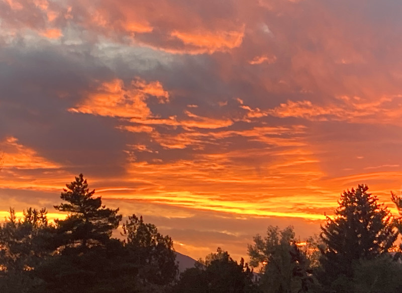 Denver Real Estate News – November 2023