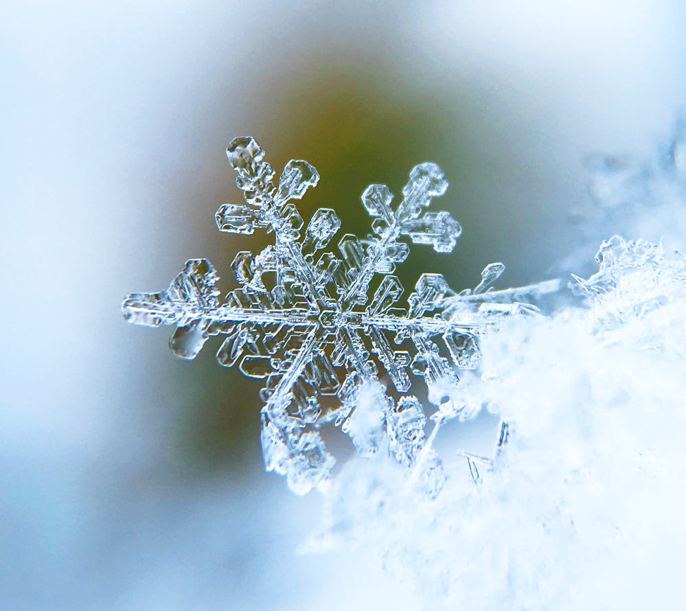 Denver Real Estate News – January 2024