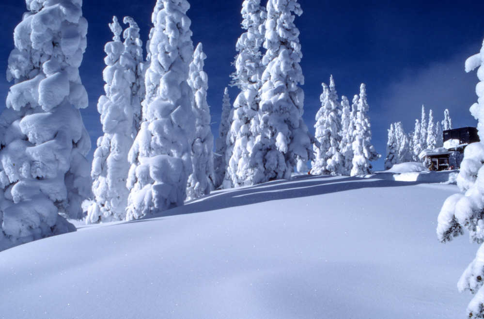 Denver Real Estate News – February 2024