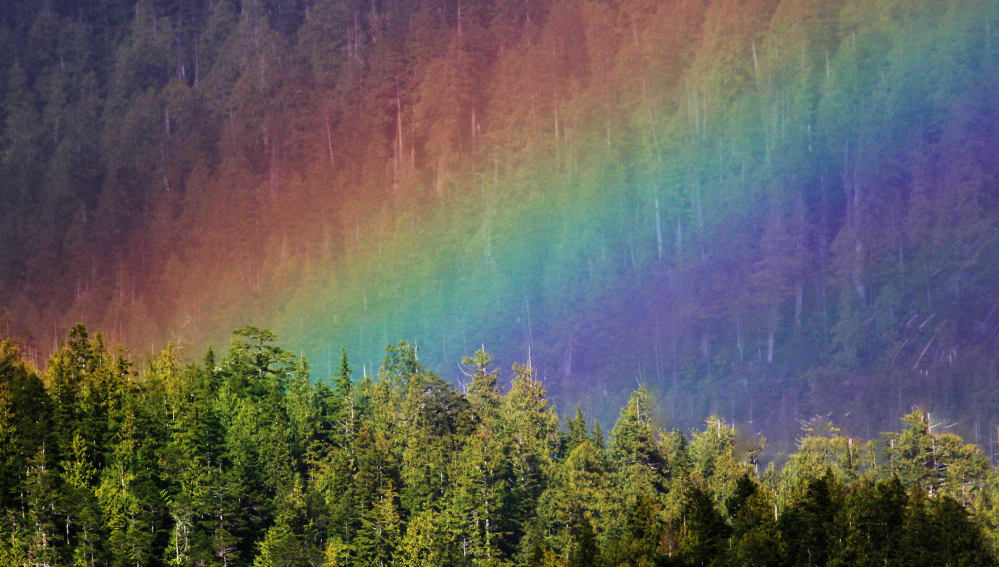 Denver Real Estate News – March 2024