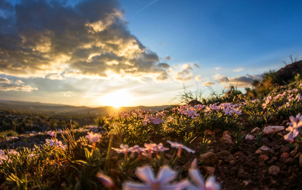 What to do in Denver in April 2024