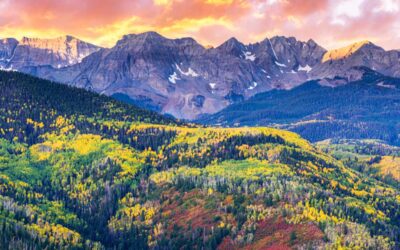 Denver Real Estate News – September 2025