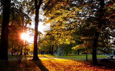 What to do in Denver in October 2025
