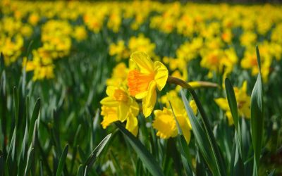 What to do in Denver in March 2026