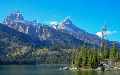 What to do in Denver in August 2026