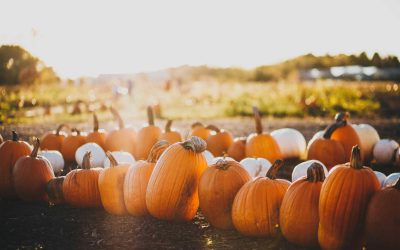 What to do in Denver in October 2026